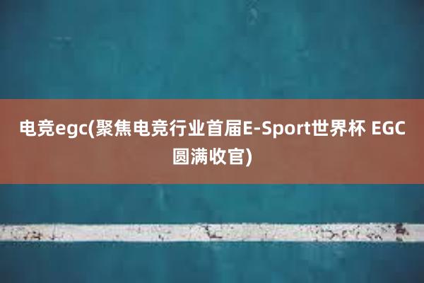 电竞egc(聚焦电竞行业首届E-Sport世界杯 EGC圆满收官)