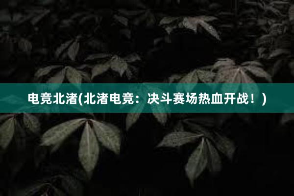 电竞北渚(北渚电竞：决斗赛场热血开战！)