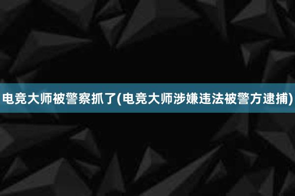 电竞大师被警察抓了(电竞大师涉嫌违法被警方逮捕)