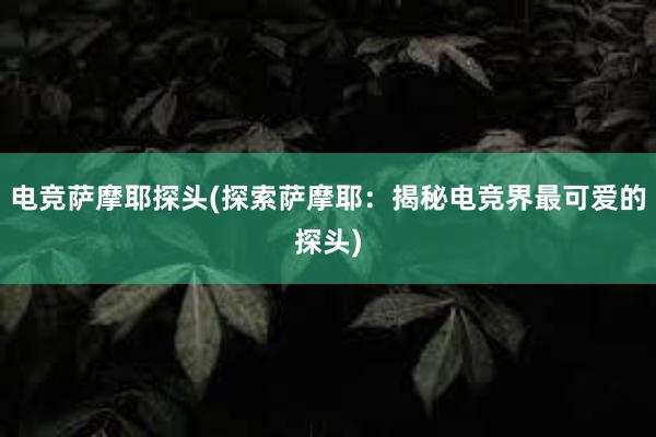 电竞萨摩耶探头(探索萨摩耶：揭秘电竞界最可爱的探头)