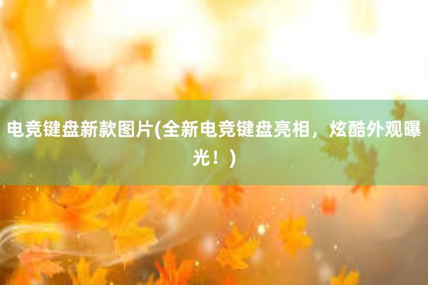 电竞键盘新款图片(全新电竞键盘亮相，炫酷外观曝光！)