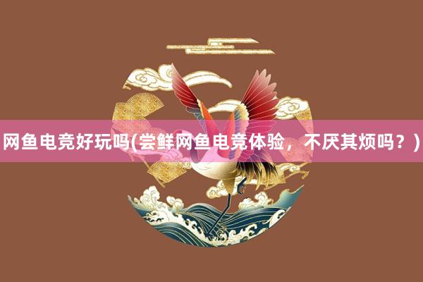 网鱼电竞好玩吗(尝鲜网鱼电竞体验，不厌其烦吗？)