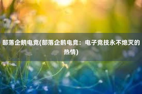 部落企鹅电竞(部落企鹅电竞：电子竞技永不熄灭的热情)