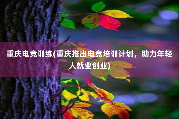 重庆电竞训练(重庆推出电竞培训计划，助力年轻人就业创业)