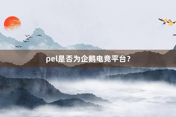 pel是否为企鹅电竞平台？