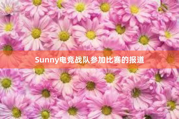 Sunny电竞战队参加比赛的报道