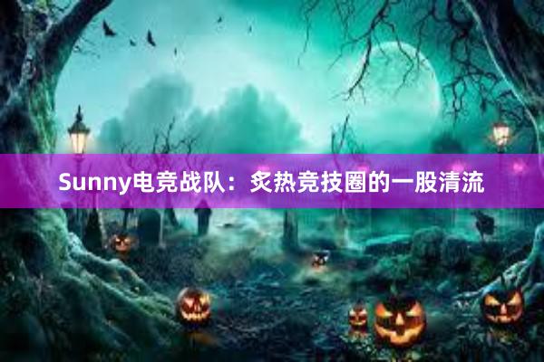 Sunny电竞战队：炙热竞技圈的一股清流