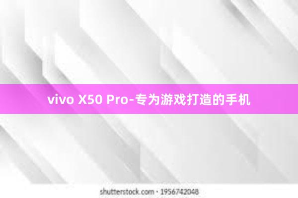 vivo X50 Pro-专为游戏打造的手机