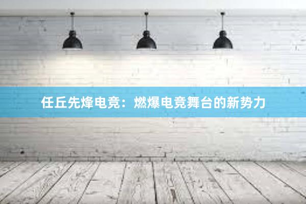 任丘先烽电竞：燃爆电竞舞台的新势力