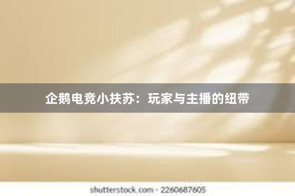 企鹅电竞小扶苏：玩家与主播的纽带