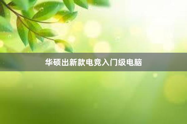 华硕出新款电竞入门级电脑