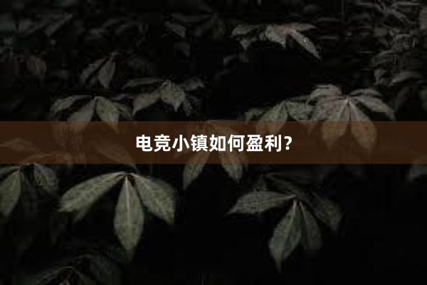 电竞小镇如何盈利？