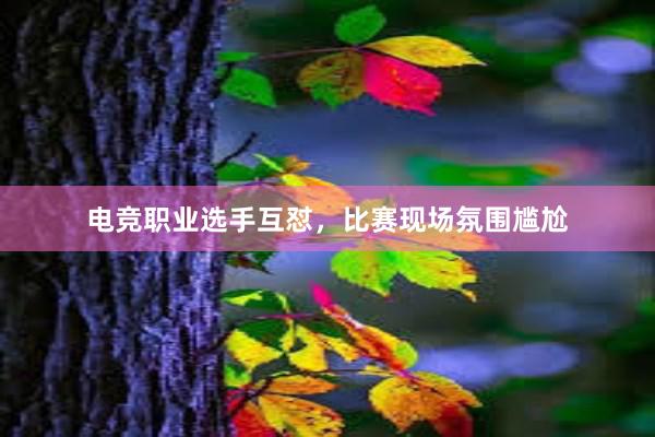 电竞职业选手互怼，比赛现场氛围尴尬