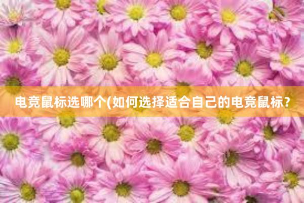 电竞鼠标选哪个(如何选择适合自己的电竞鼠标？