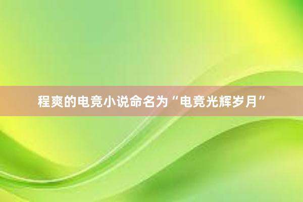 程爽的电竞小说命名为“电竞光辉岁月”