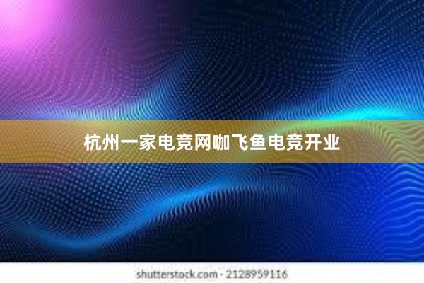 杭州一家电竞网咖飞鱼电竞开业